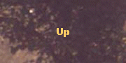 Up